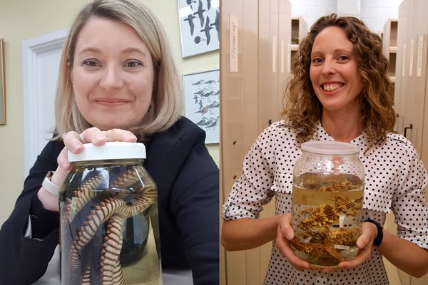 Dr Clare Holleley and Dr Erin Hahn holding formalin-preserved museum specimens.