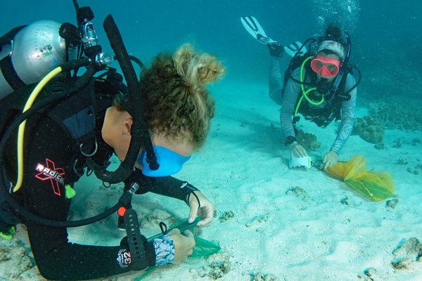 Research divers at Lizard Island Research Station in 2023