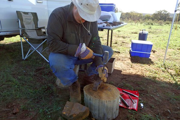 Author finding a cranefly at McGraths Flat in February 2020.