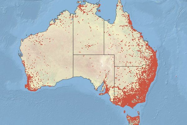 Frog records from the FrogID dataset 5.0