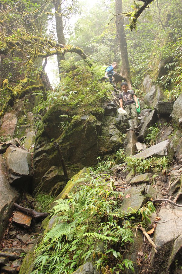 Fieldwork in the Hoang Lien Range