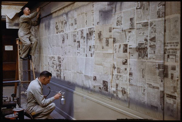 Preparators in the Old Invertebrate Gallery