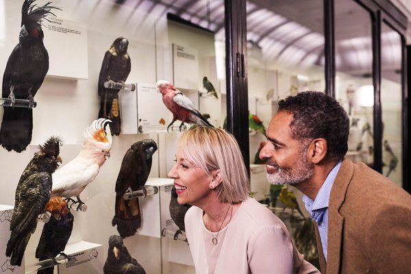 Birds of Australia