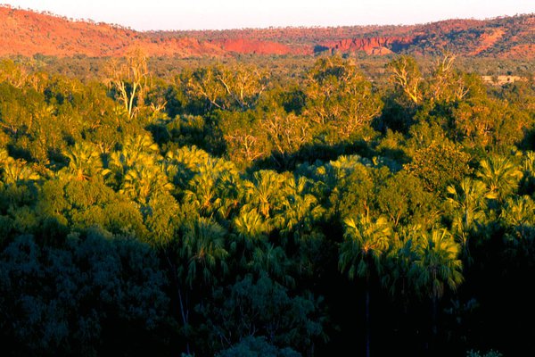 Riversleigh Fossil Site , QLD