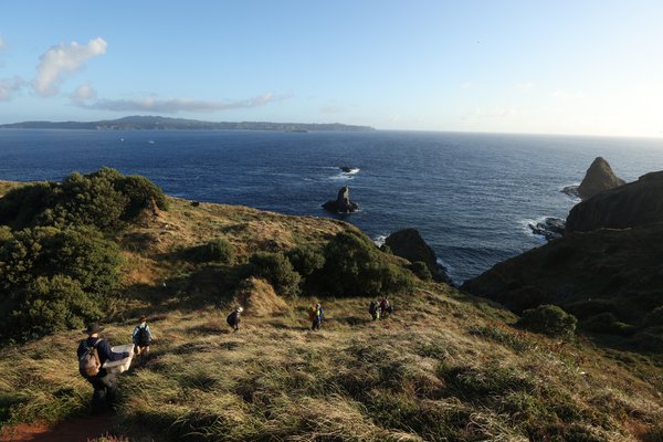 Scientists on Phillip Island in the morning