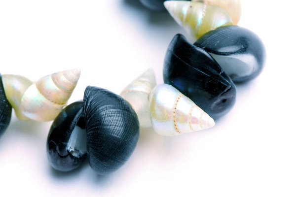 Shell necklace E094522