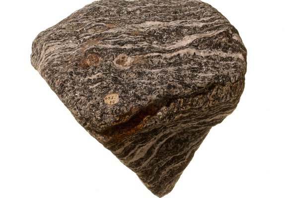 Gneiss