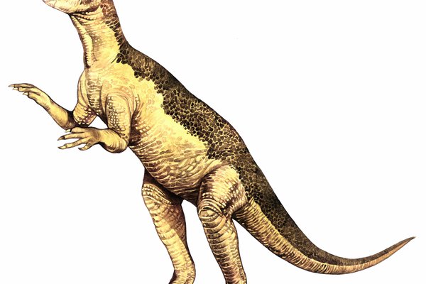 Psittacosaurus