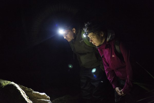 Jodi & Tim Looking for Peppered Tree Frog