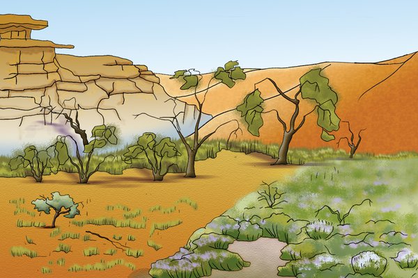 Arid Habitat