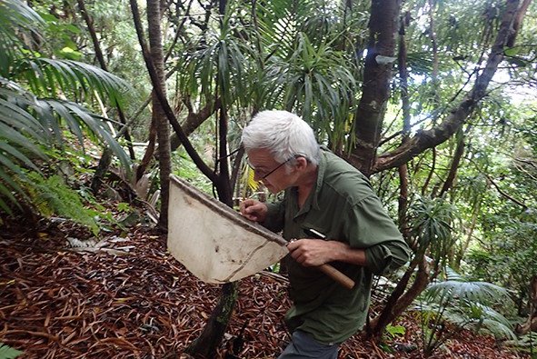 Chris Reid -  Field work on Lord Howe Island 