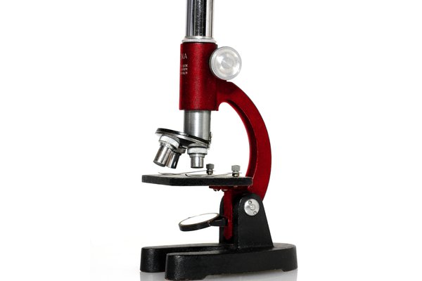 Microscope