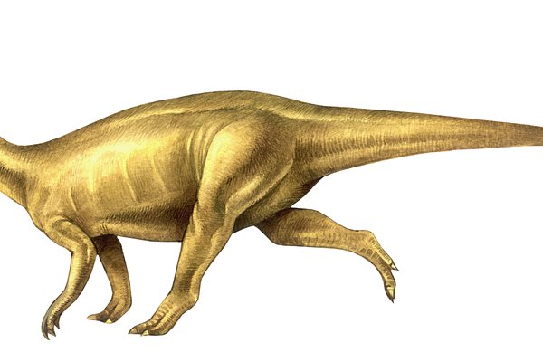 Lufengosaurus