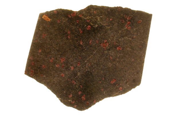 Eclogite