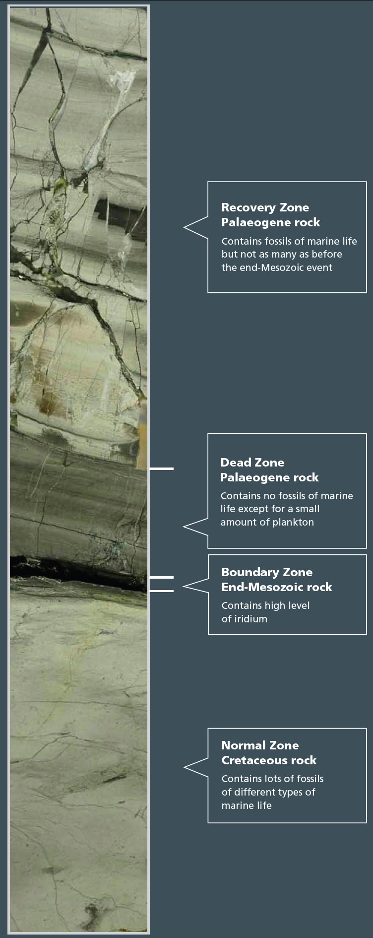 Impact layer