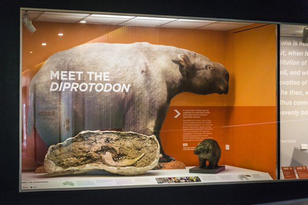 Diprotodon Cabinet 2018