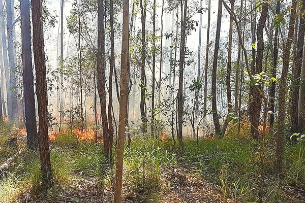 Cultural Fire is used in unison with the landscape